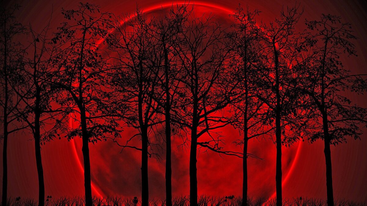 Creative_Wallpaper_Trees_on_the_background_of_the_bloody_moon_098062 ...