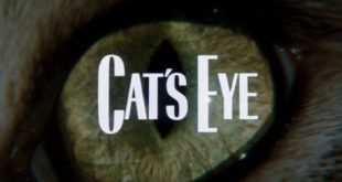 cats eye