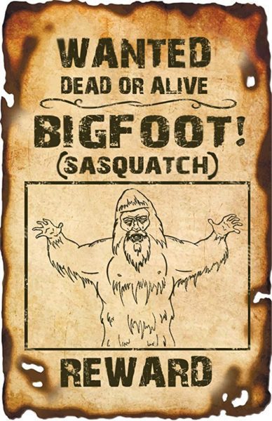 Promo art for the new horror comedy Bigfoot!
