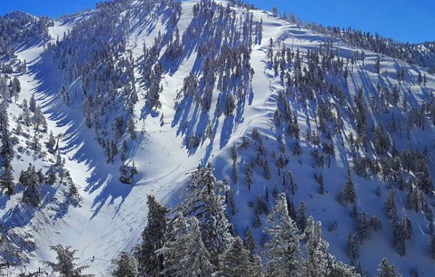 Mt. Baldy, snowcapped with surrounding forest.