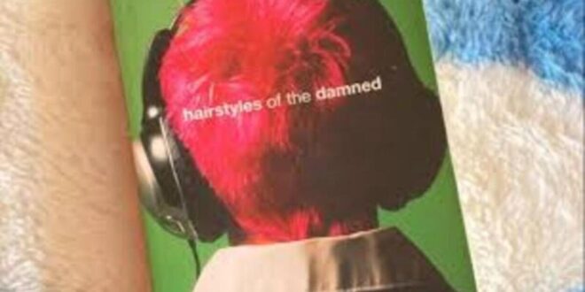 Joe Meno’s ‘HAIRSTYLES OF THE DAMNED’ (2004) – A Retro Book Review