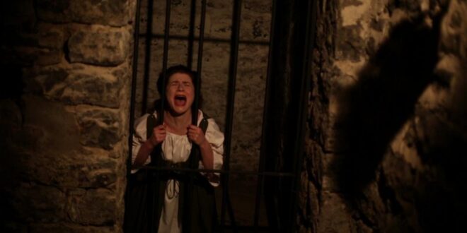 Poster And Stills Released For ‘THE BLOODLINE OF BATHORY’