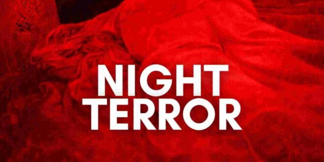 Coming Soon To Streaming: ‘NIGHT TERROR’