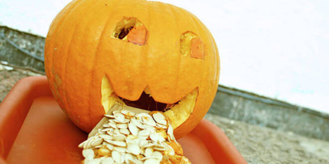 Yucko: The 10 Worst Halloween Candies